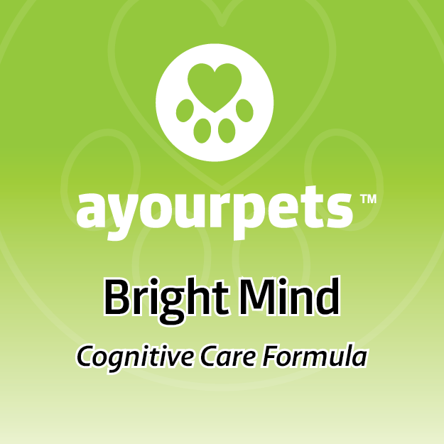 AYOURPETS Bright Mind (Calm, Focus, & Cognitive Support)