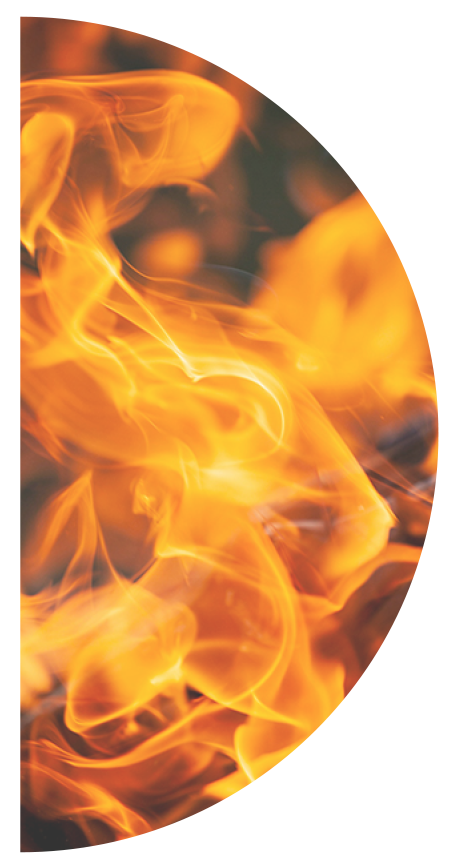 Pitta: The Essence of Fire