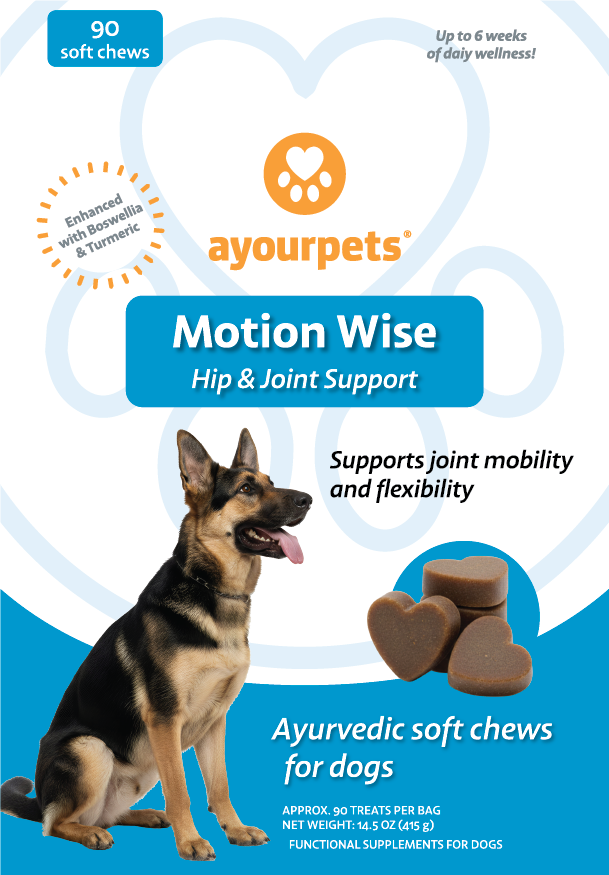 Motion Wise