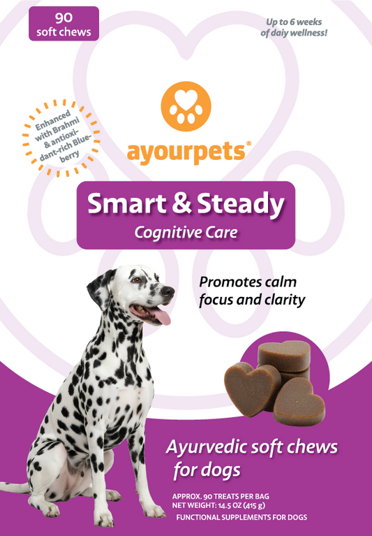 Smart & Steady