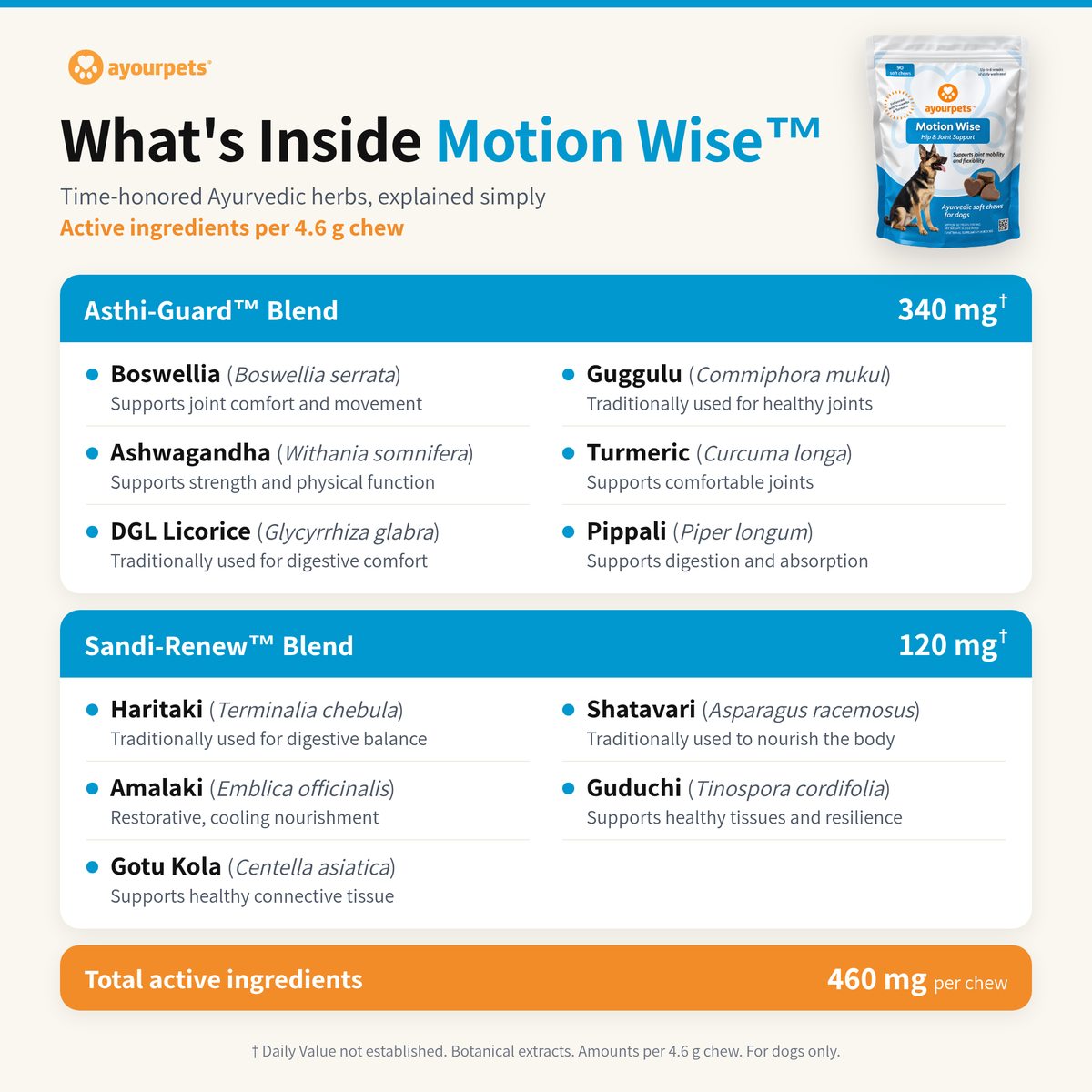 Motion Wise hip & joint chews ingredients: Asthi-Guard and Sandi-Renew Ayurvedic herbal blends with common and Latin names