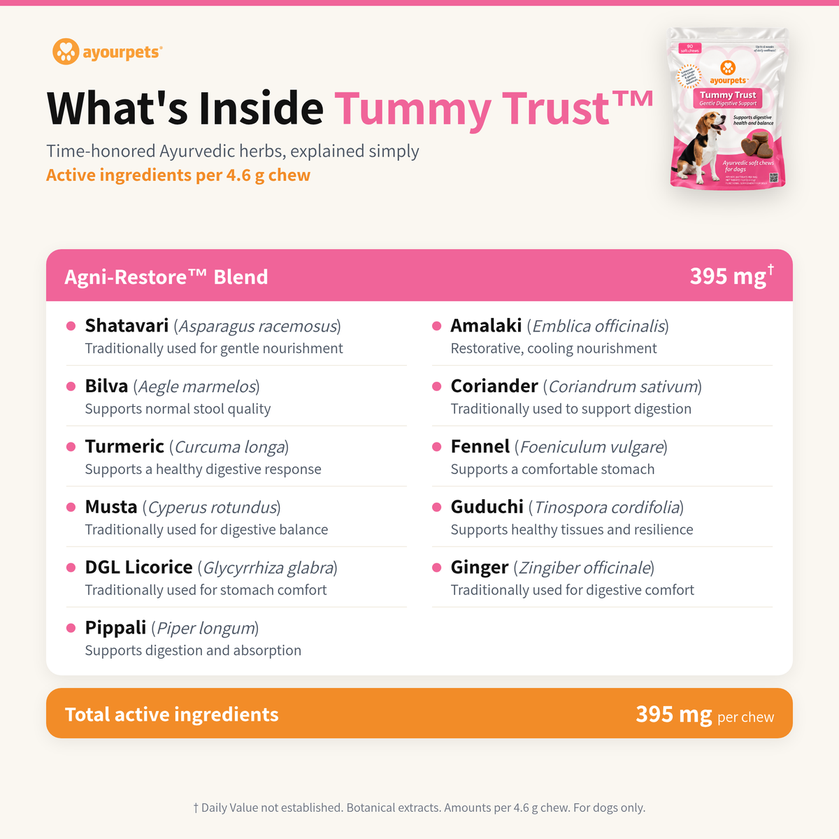 Tummy Trust digestive chews ingredients: Agni-Restore Ayurvedic herbal blend with common and Latin names