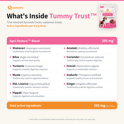 Tummy Trust digestive chews ingredients: Agni-Restore Ayurvedic herbal blend with common and Latin names