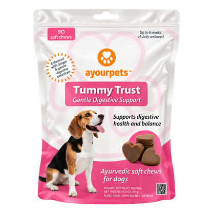 Ayourpets Tummy Trust Gentle Digestive Support soft chews for dogs, 90-chew pouch front