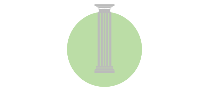 AYOURPETS Bright Mind (Calm, Focus, & Cognitive Support)